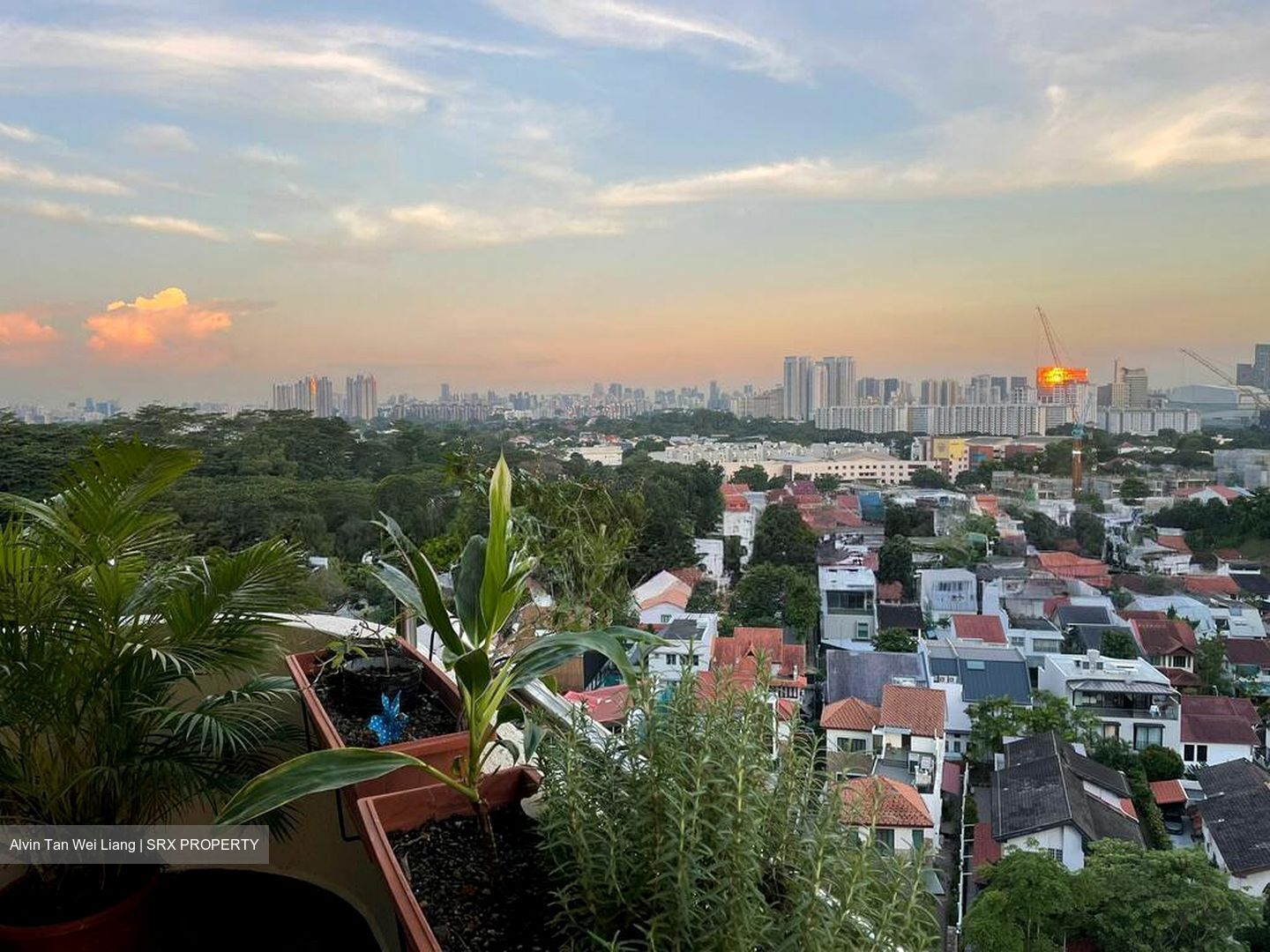 Allsworth Park (D10), Condominium #597089981